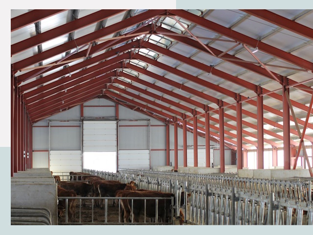 Строительство коровников в Волгограде